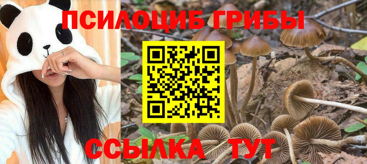 Псилоцибиновые грибы MAGIC MUSHROOMS Печора